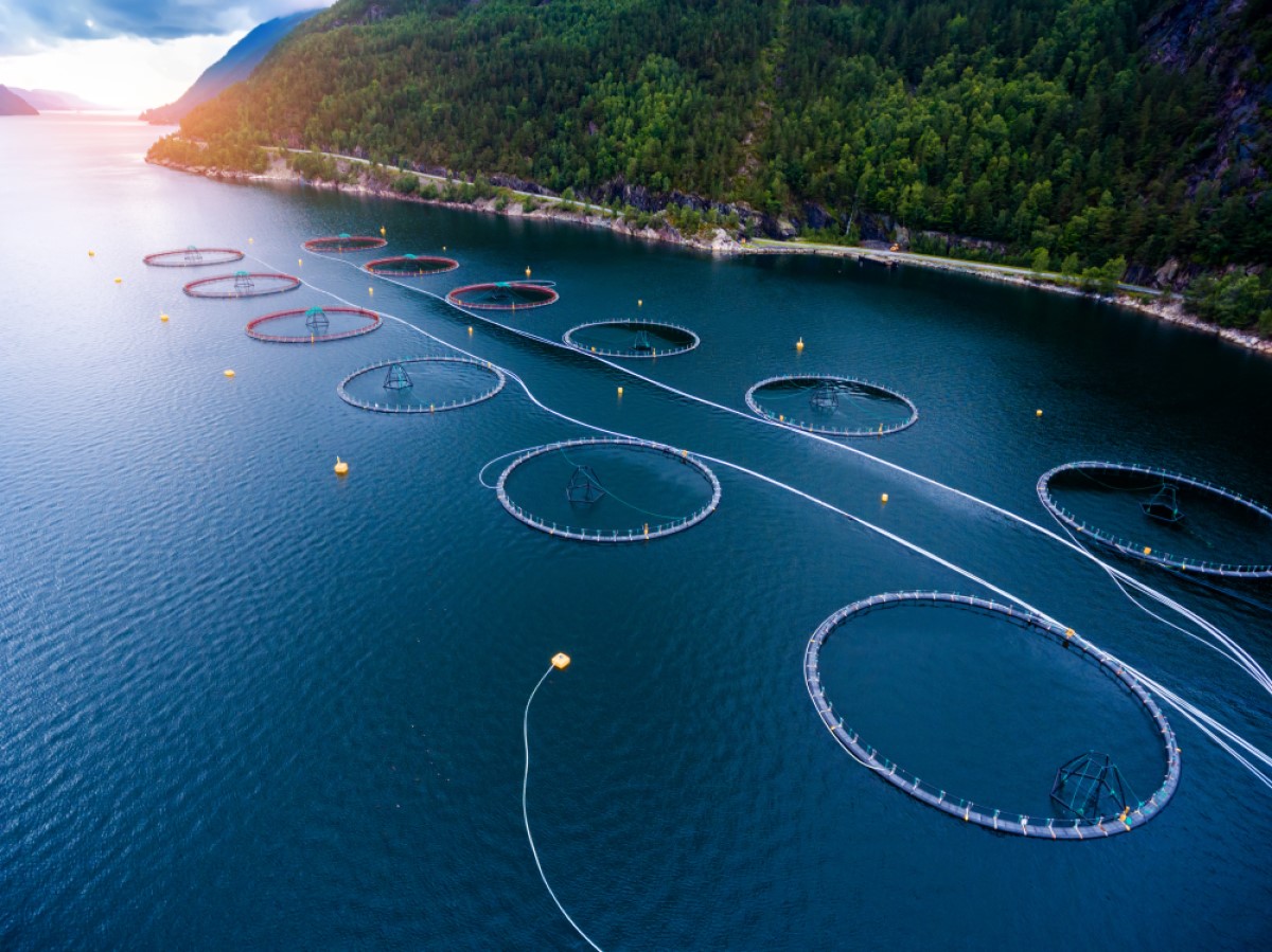 Aquaculture and fisheries
