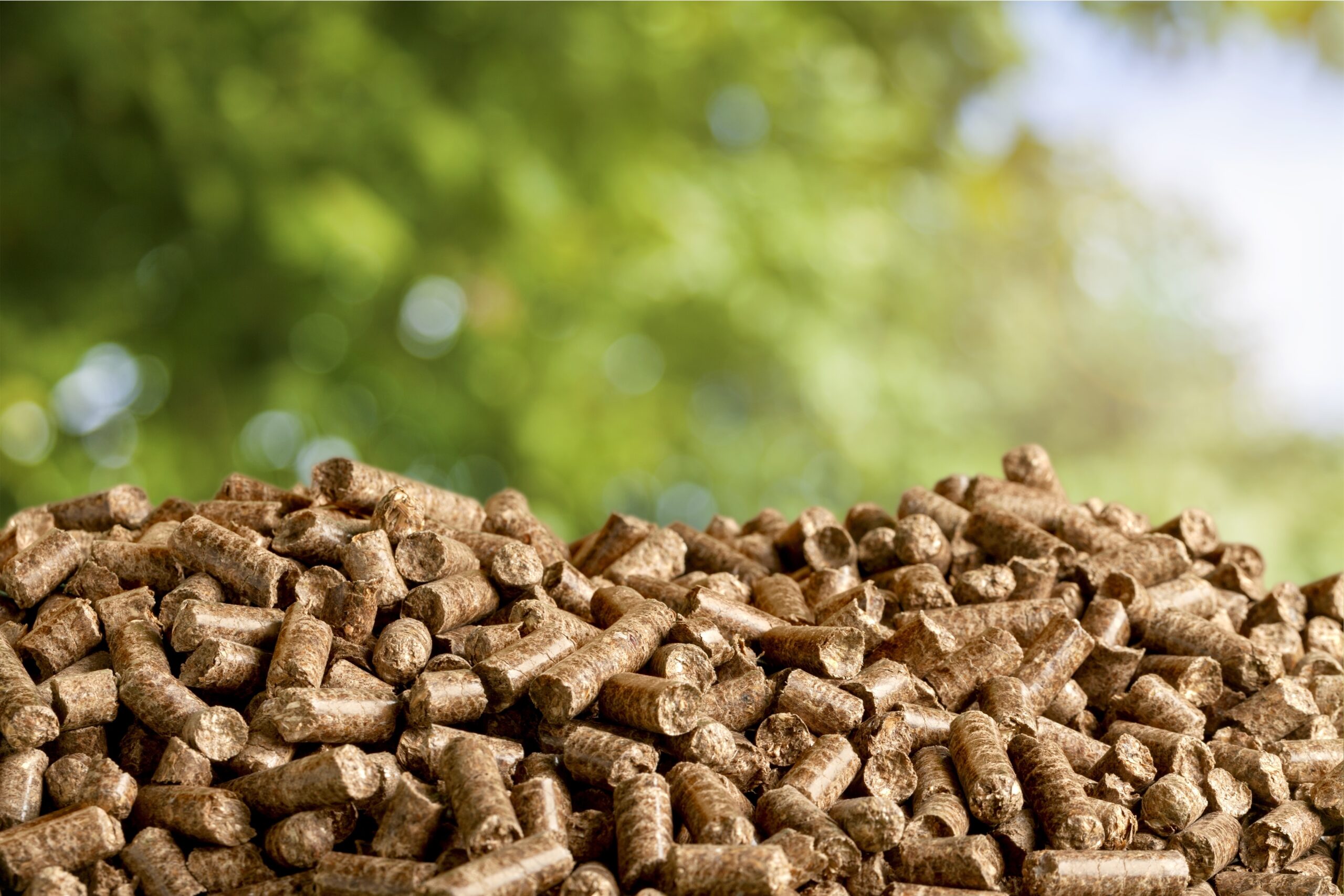 Biomass. Biomass.