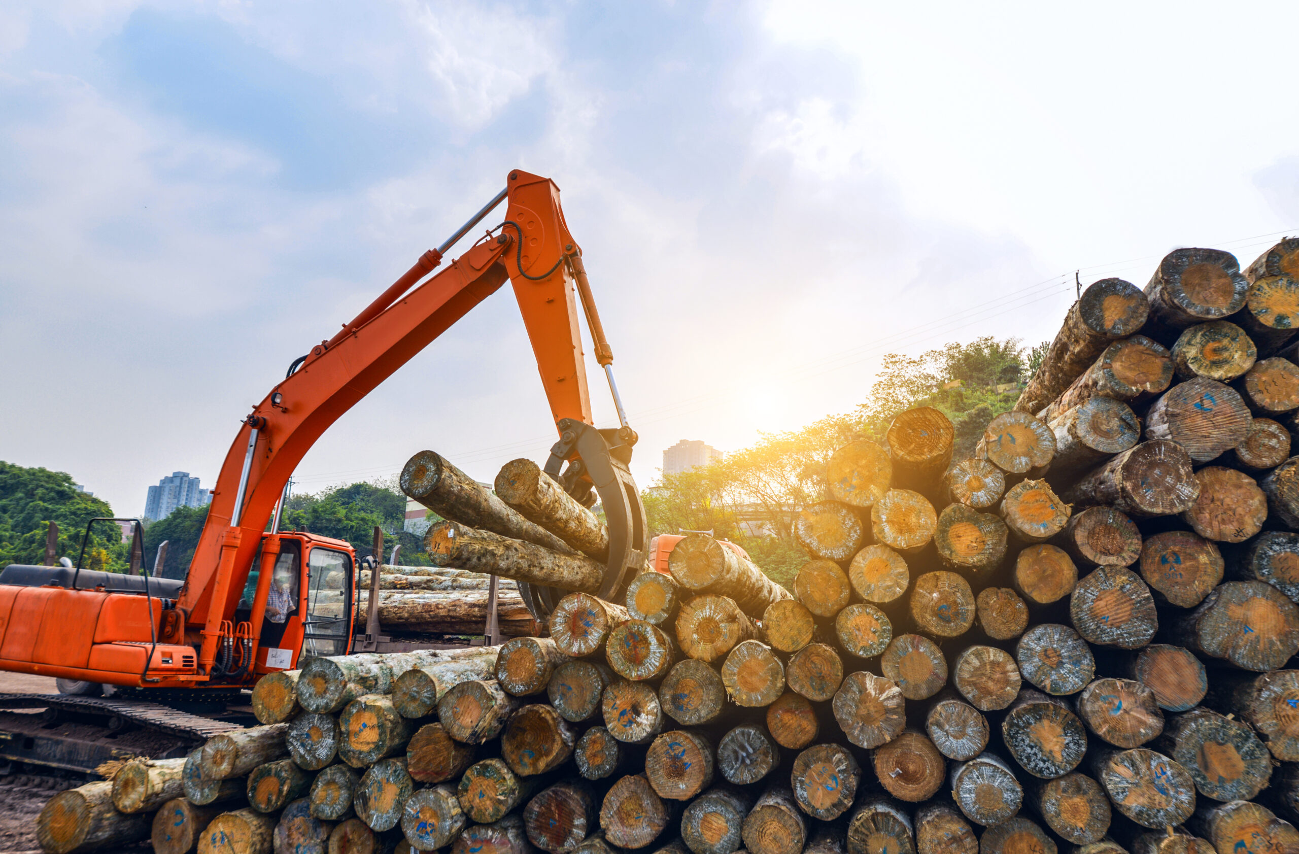 Forestry_timber Forestry_timber