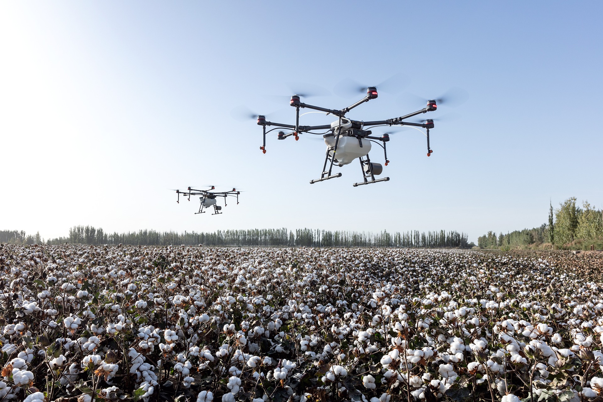 agriculture drone crop monitoring920