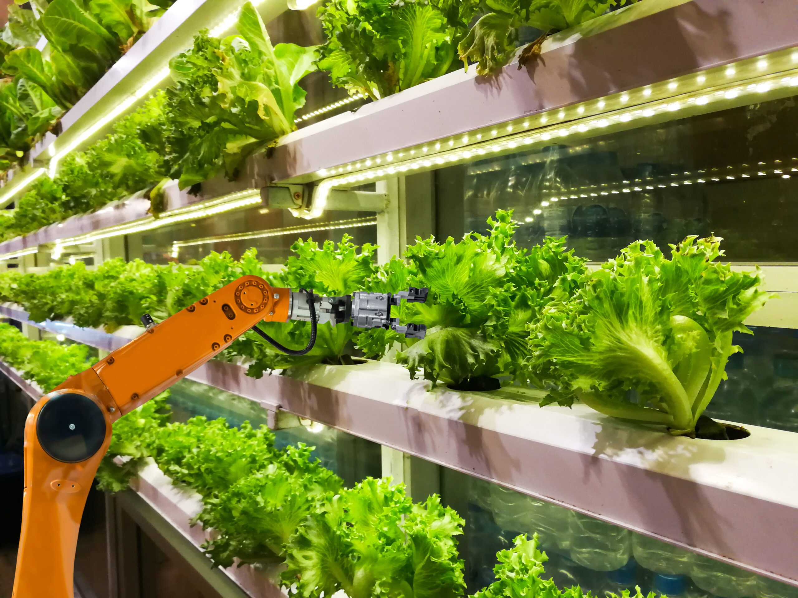 Sustainable Indoor Farming technology