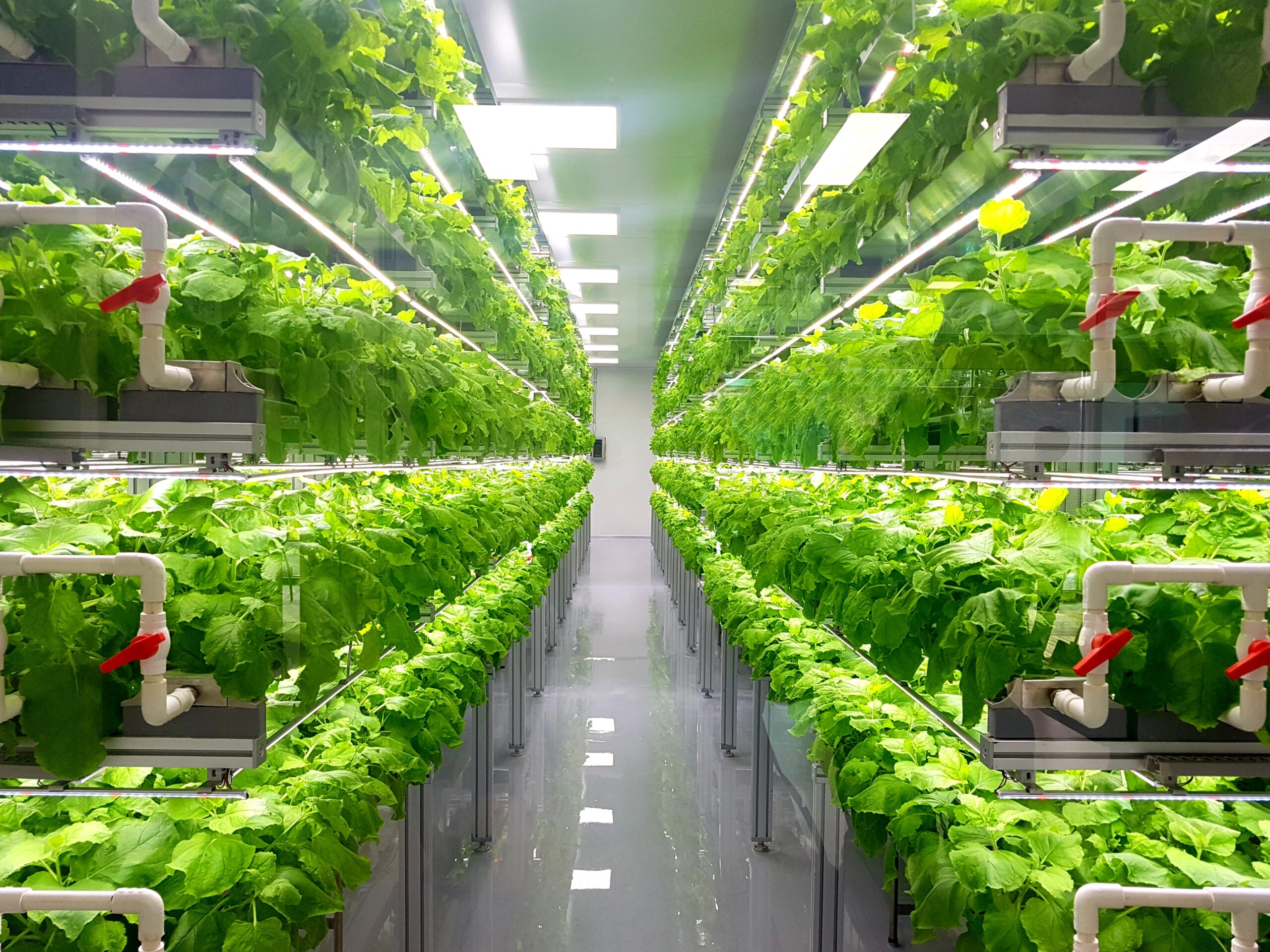 Sustainable indoor farming