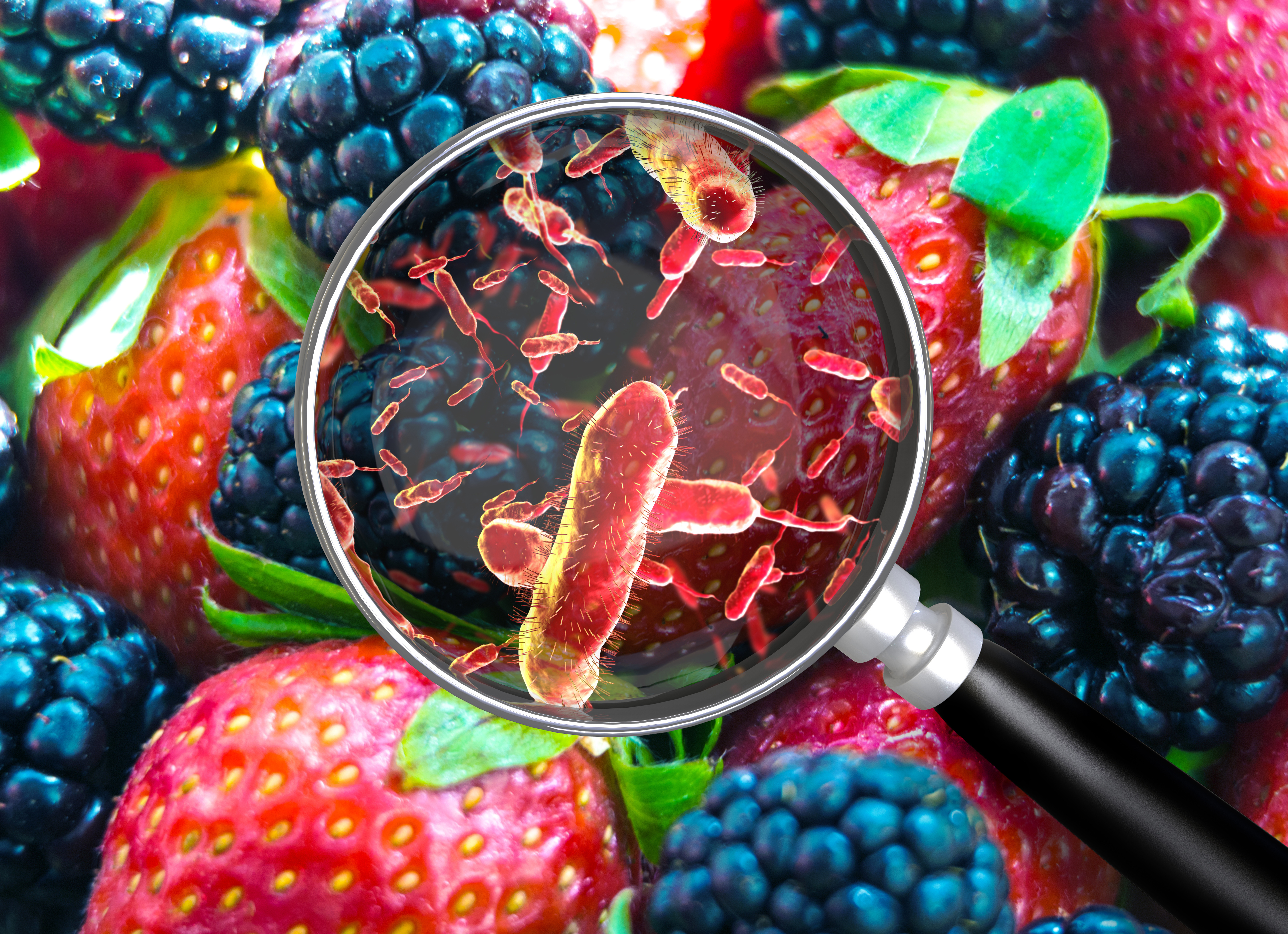 Food safety Food safety