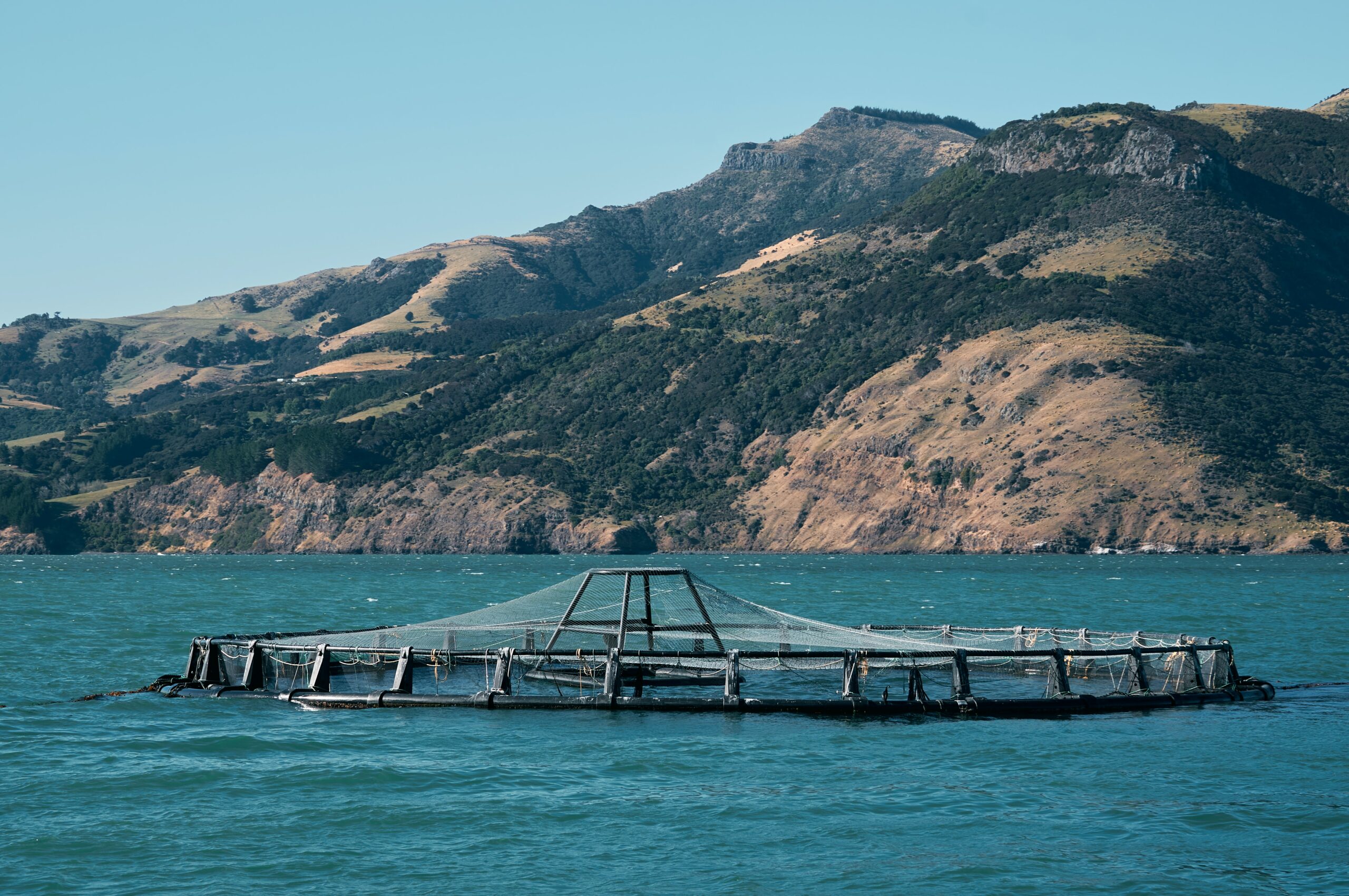 aquaculture fish farming