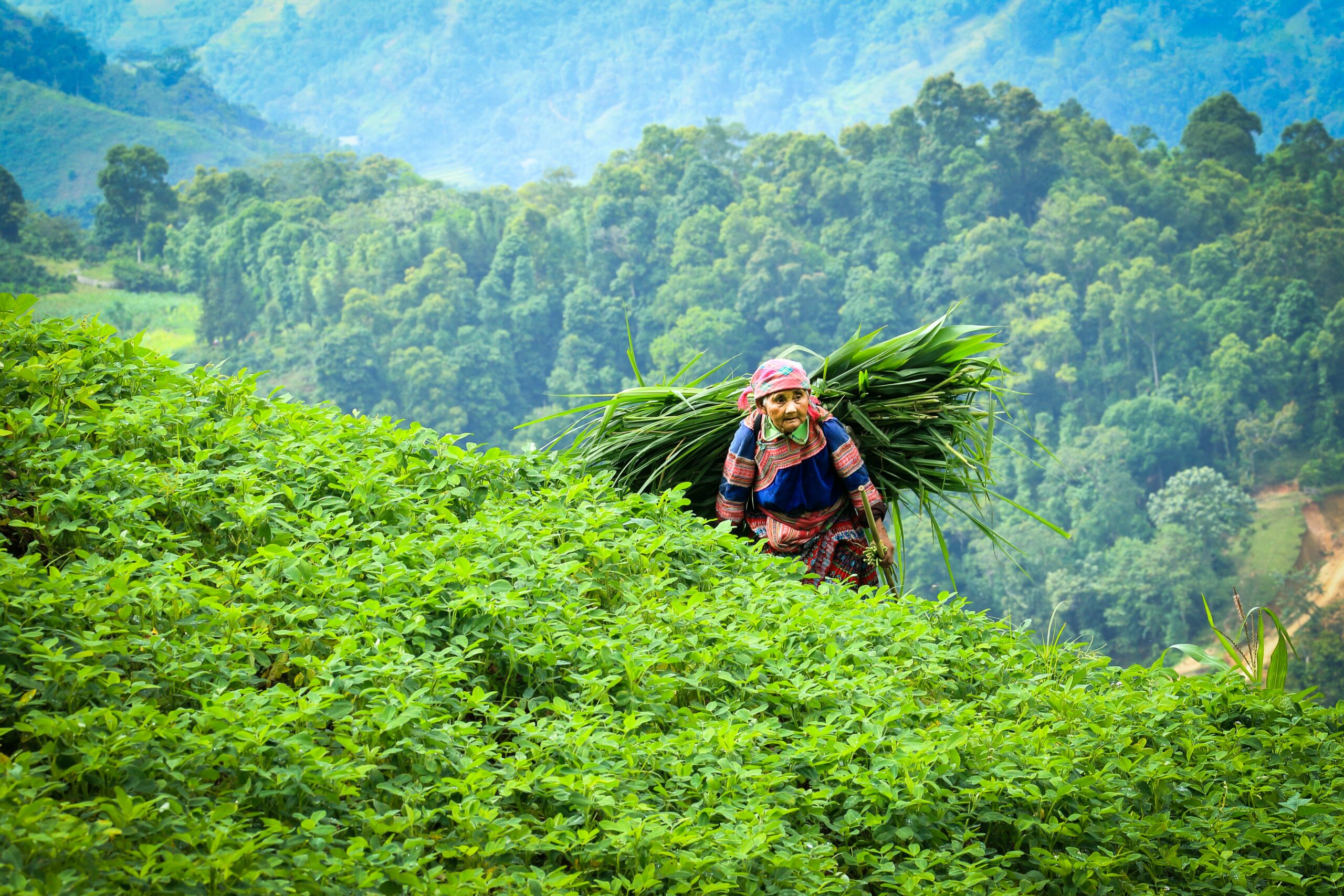 Sri Lanka Organic Agriculture