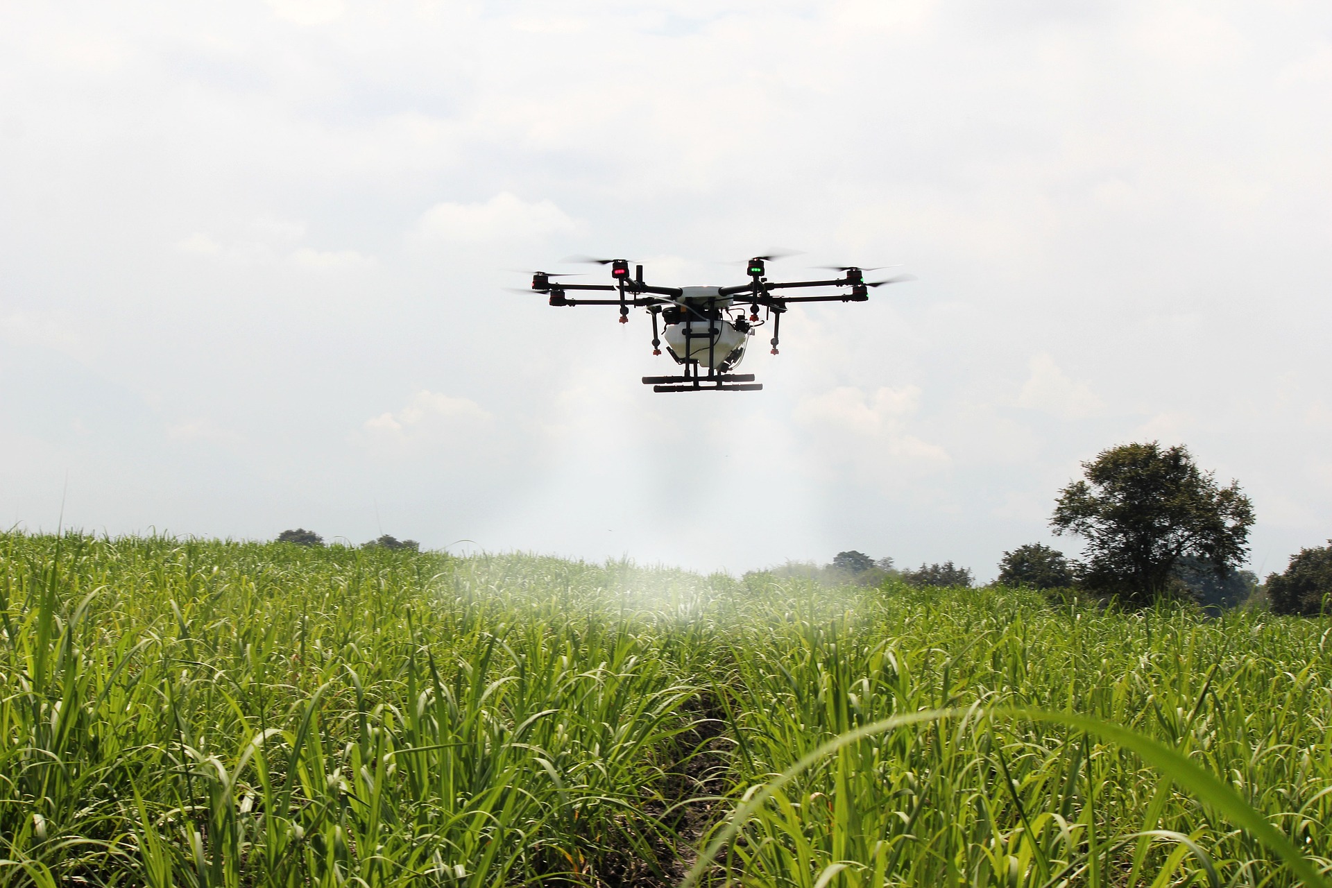 spraying-sugar-cane- Collateral spraying-sugar-cane- Collateral