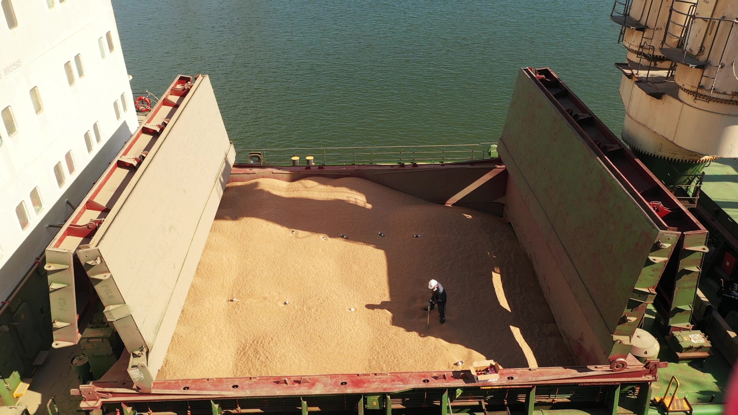 Pest Control Service for Fumigation in Cargo Hold of Grain Bulker Ship