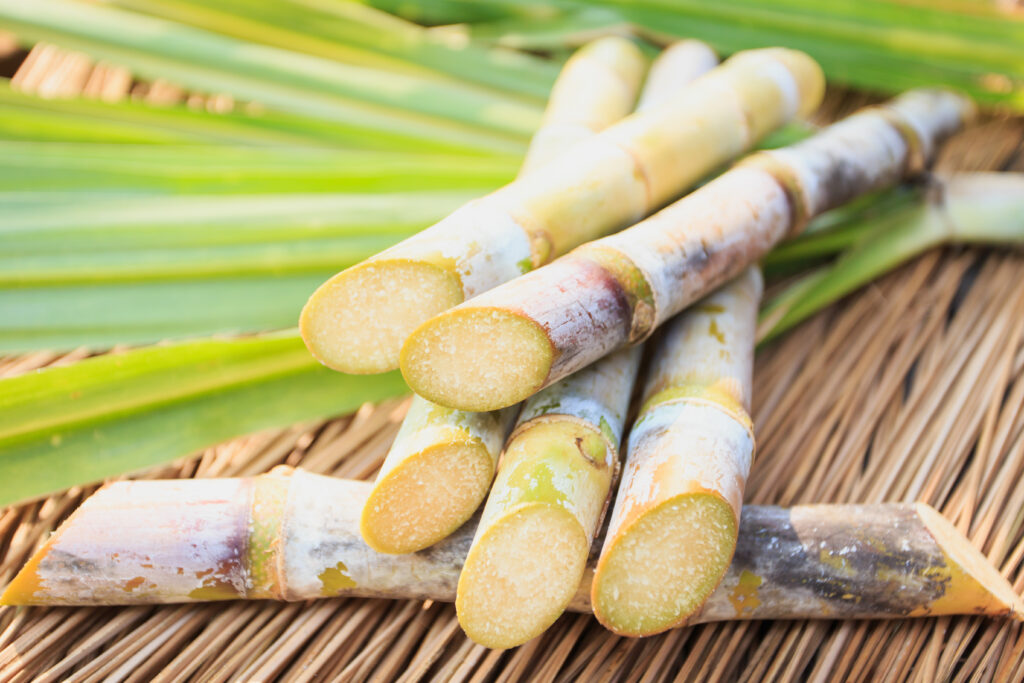 Bonsucro - Better Sugarcane Initiative - Control Union Global