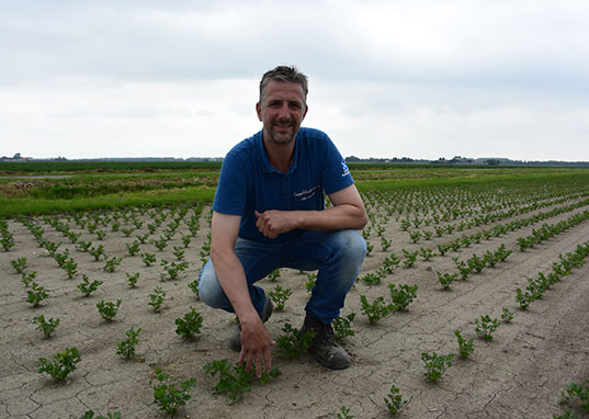 Kees – Vrolijk ipm boer Kees – Vrolijk ipm boer