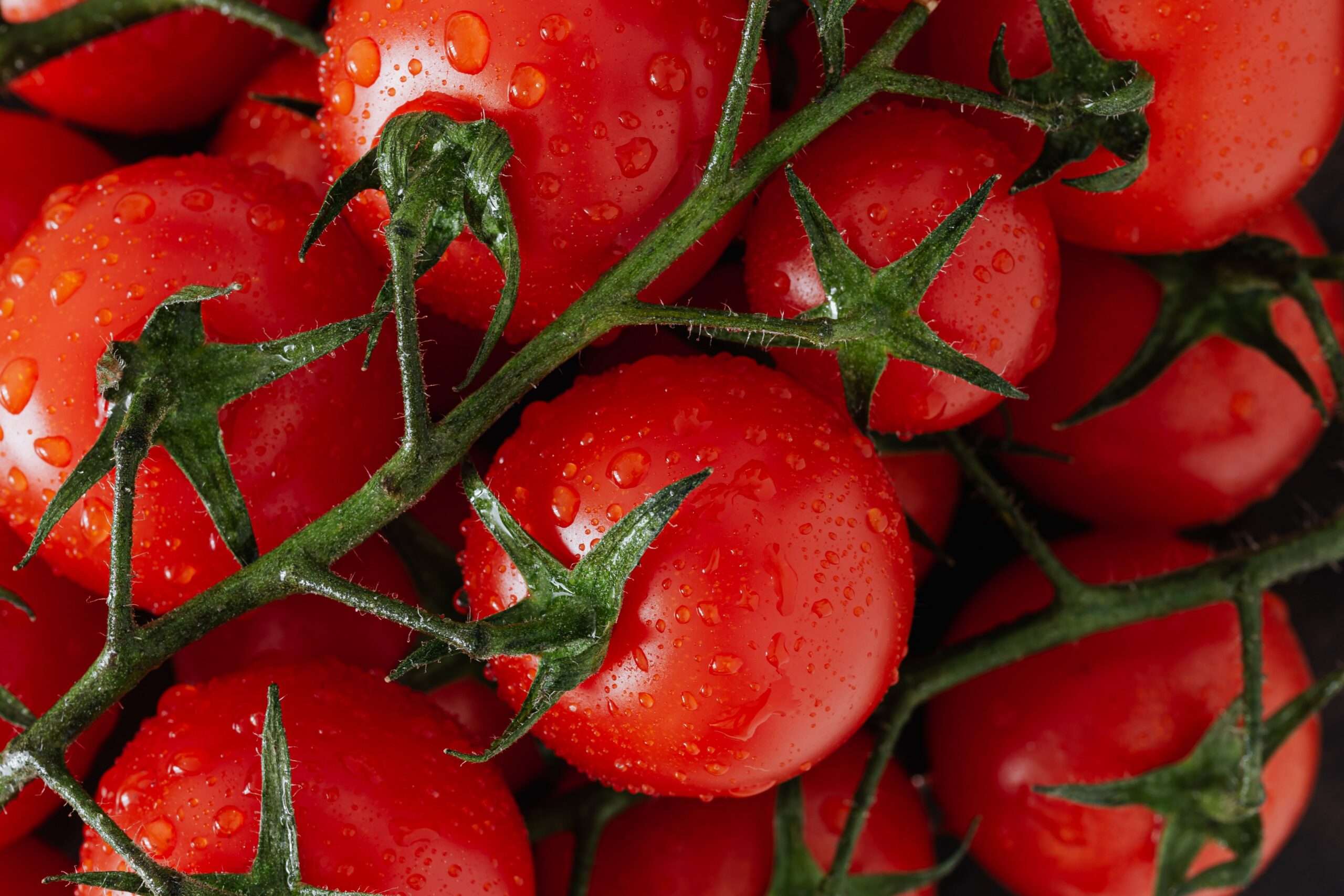 EU organic Germany EU organic Germany