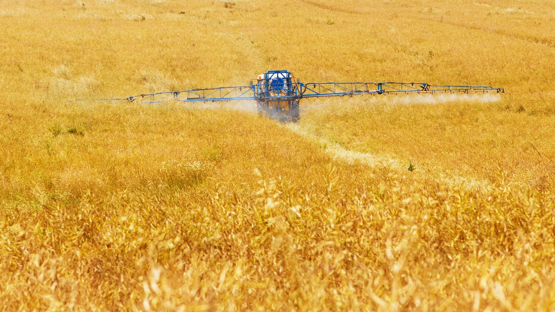 No deal: Brussels allows use of glyphosate across EU for next 10 years
