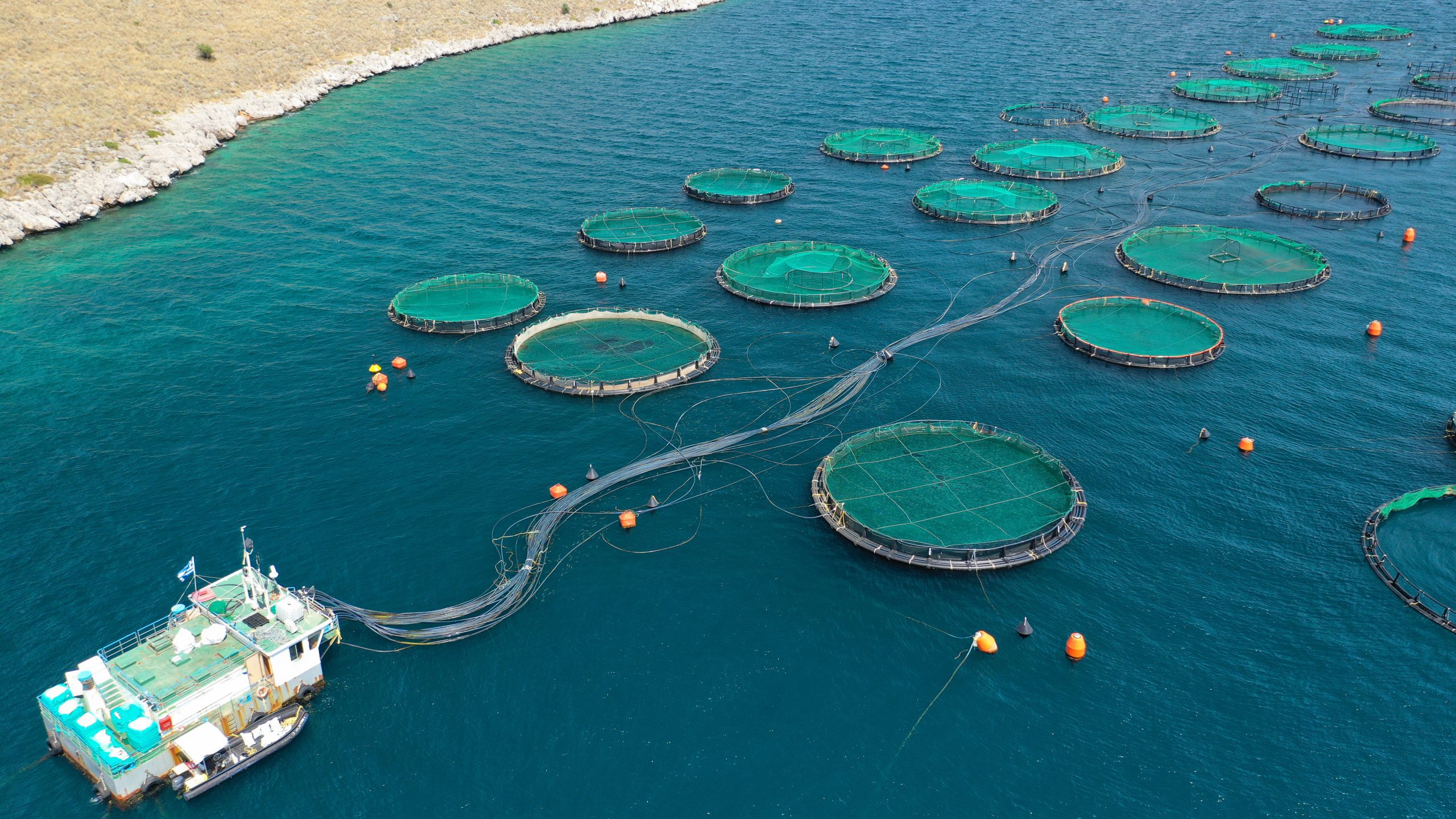 Aerial drone photo of latest technology auto feeding fish farming  – breeding unit of sea bass and sea bream in huge round cages located in calm Mediterranean sea