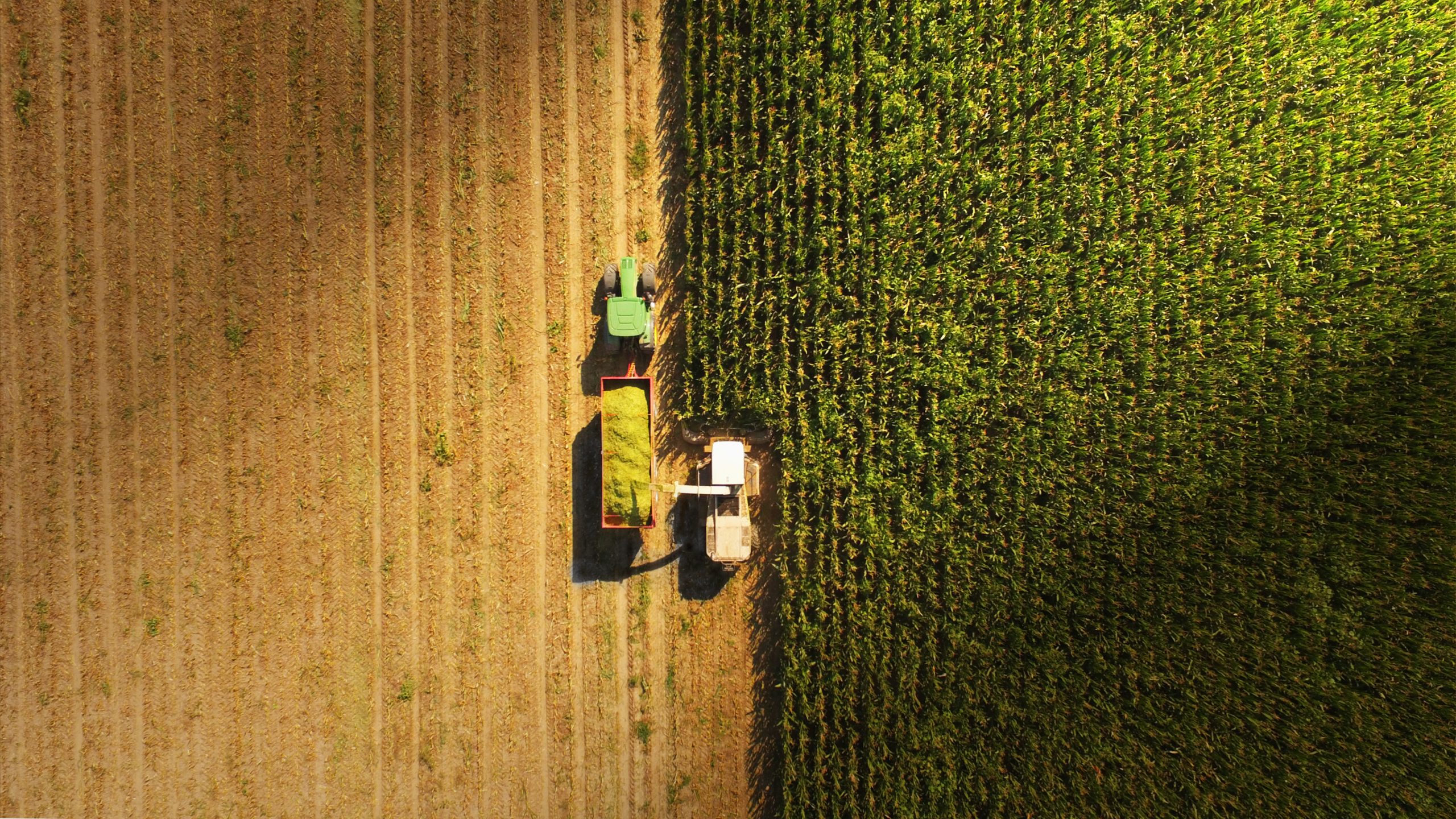Agriculture market Brazil Argentina (1) Agriculture market Brazil Argentina (1)