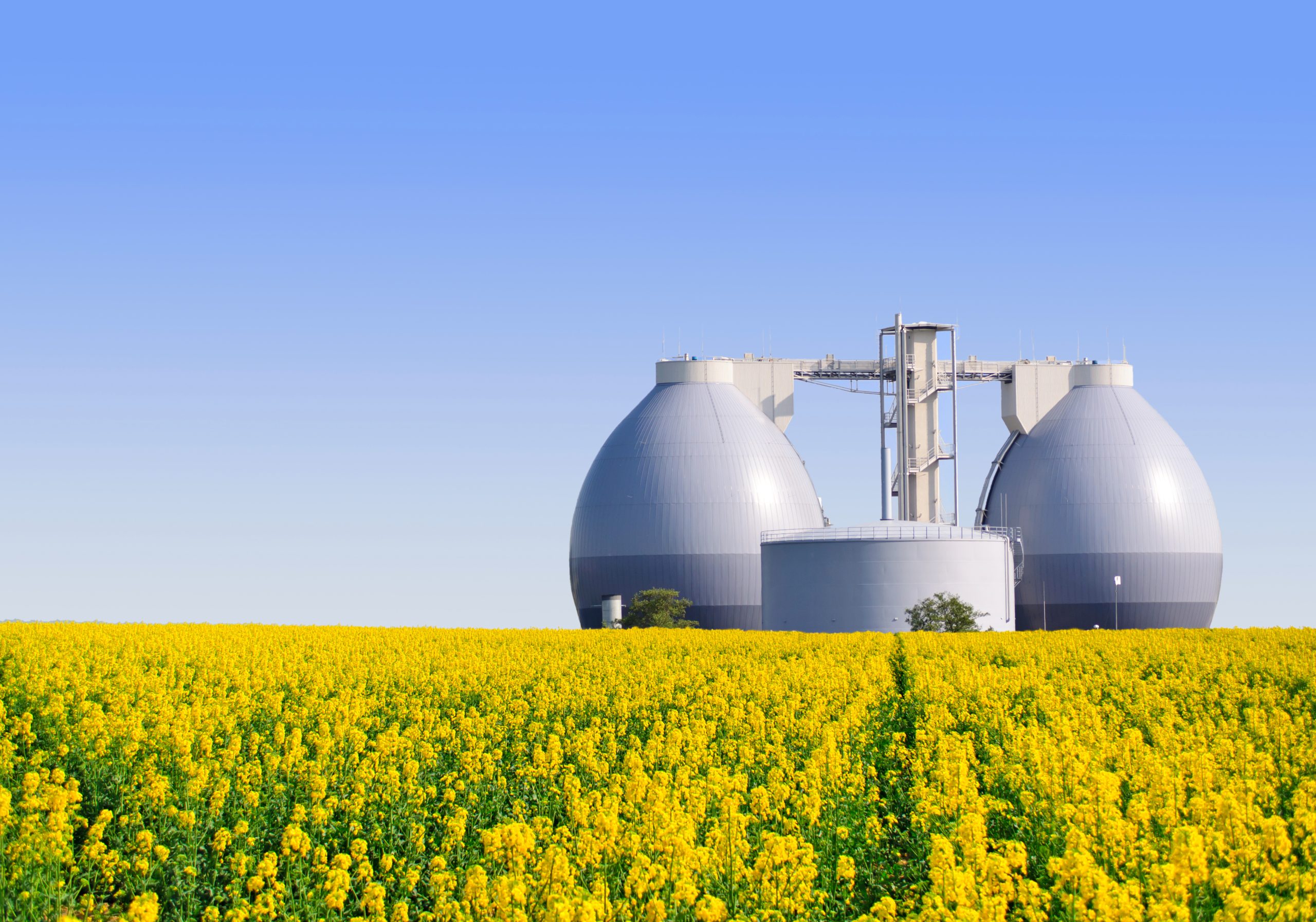 Biogas Biogas