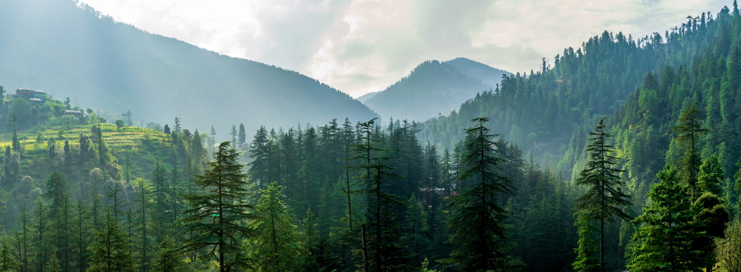 AmountainvalleyJibhiTirthanValleyHimachalPradeshIndia