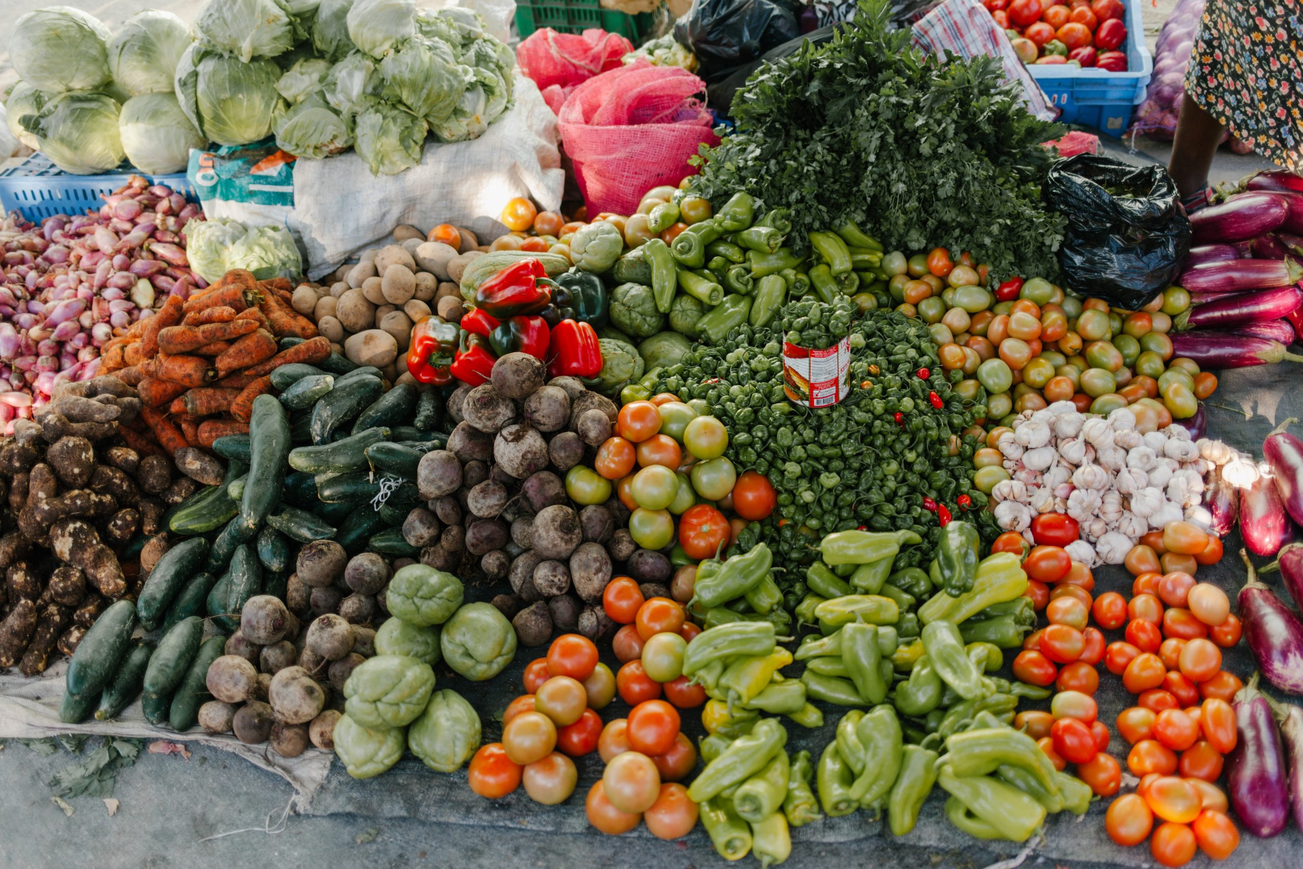 Food Safety Certifier